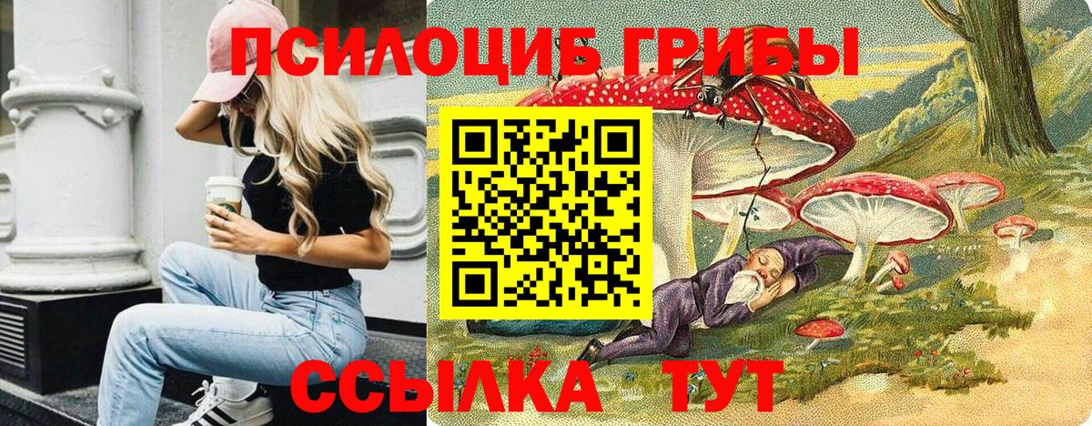 Галлюциногенные грибы ЛСД  Вход с VPN  Галлюциногенные грибы мухоморы  Богородицк 