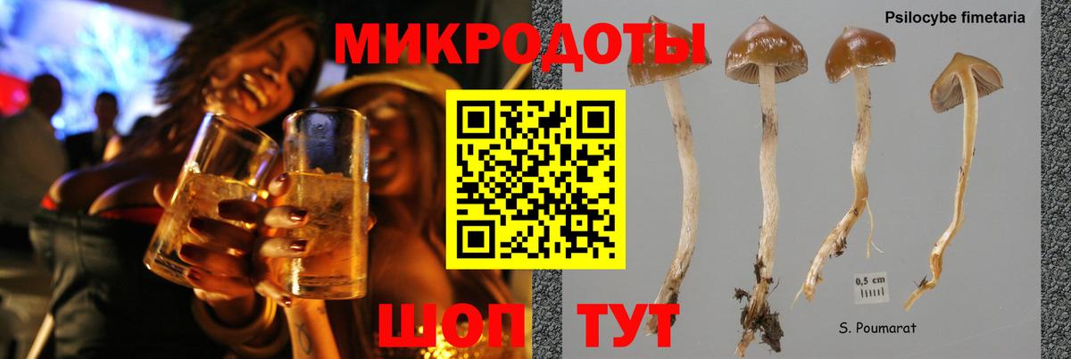 Галлюциногенные грибы GOLDEN TEACHER Богородицк